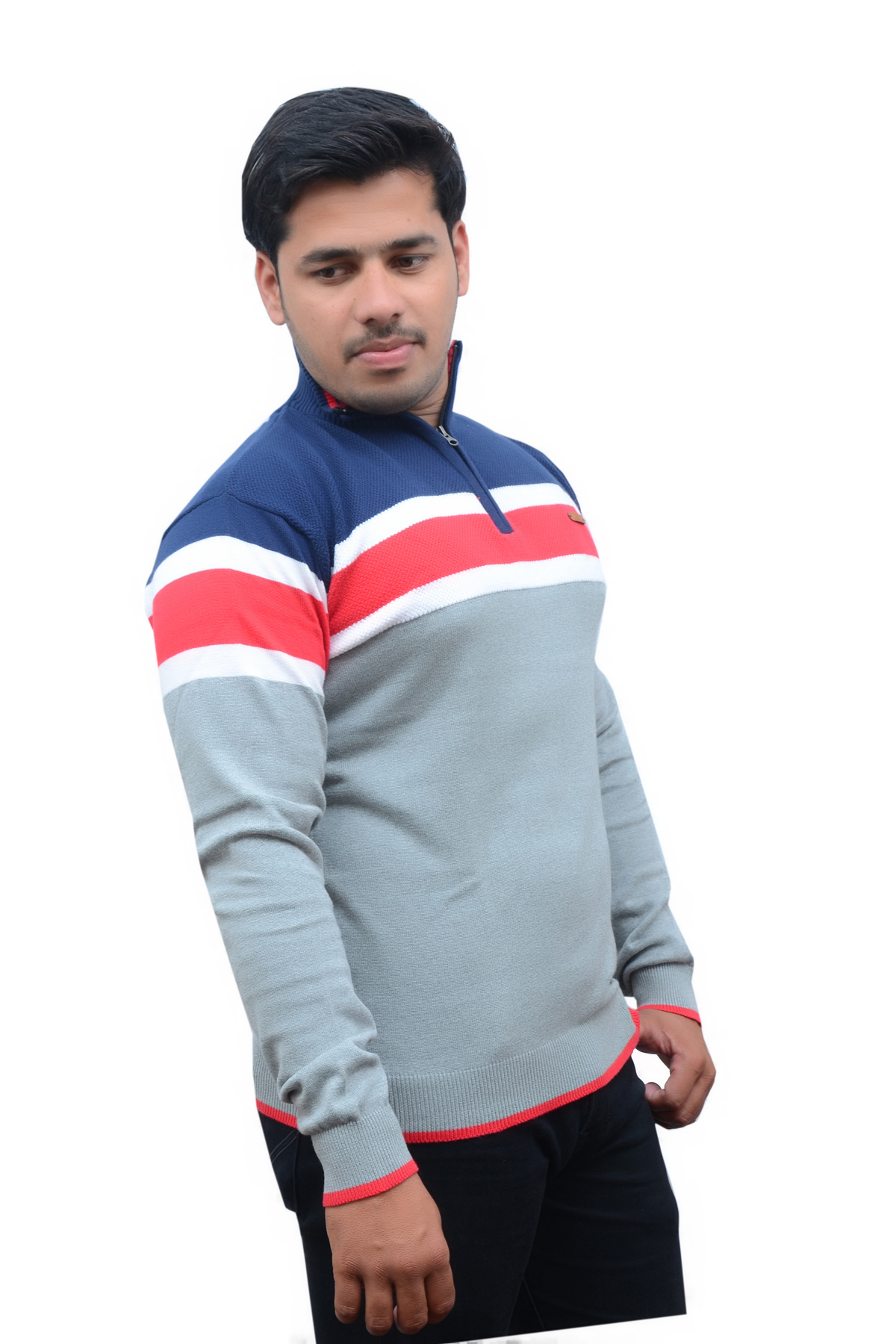 Men Striped Regular Fit High-Neck T-Shirt